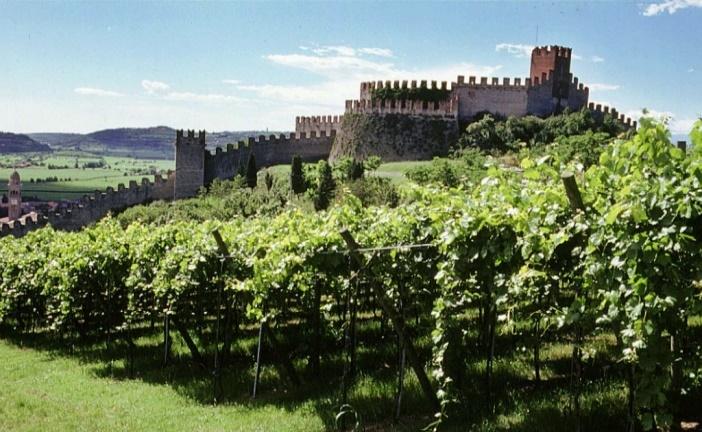 Masi Vin Inledning Veneto och Trentino Viktig och innovativ producent: Masi