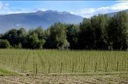 VENETO +