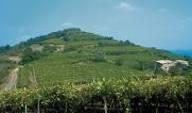 i Trentino