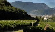 Ciriaco
