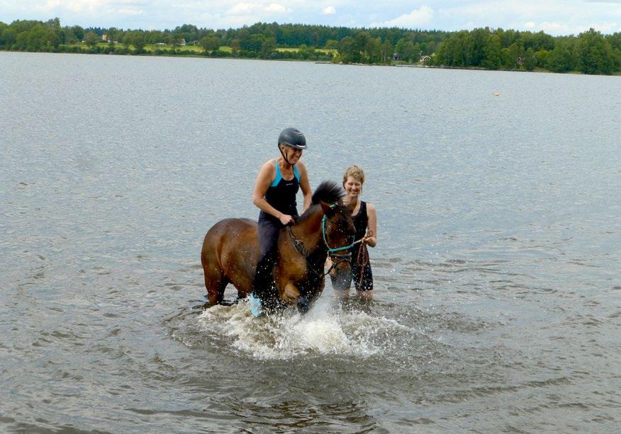 Marita Rantanen-Peterson på Lady och medhjälpare Hanna Nordqvist.