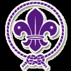 Världsscoutorganisationer Det finns två världsorganisationer där alla scouter är medlemmar.
