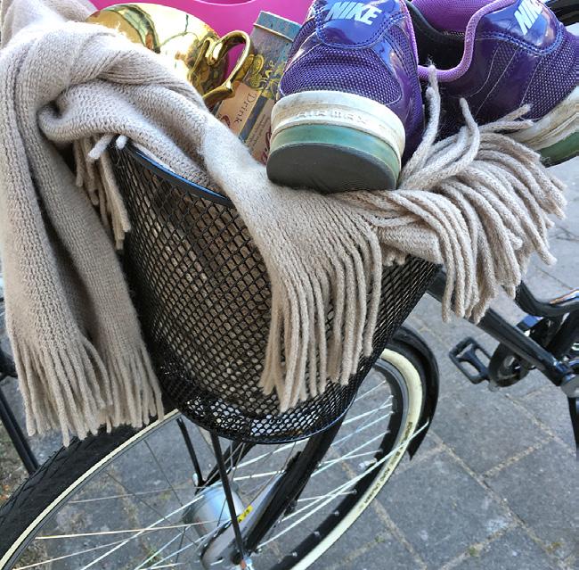 LANSERING FRITT WIFI JAN JULGRANSPLUNDRING I LINKÖPING CITY FEB MARS SPORTLOV I