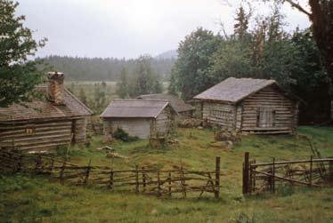 FLORAFÖRÄNDRINGAR Figur 3. Fäboden Gräsbrickan i Dalarna 1962. Det förr så vanliga fäbodbruket medförde att skogar hölls glesa och öppna vilket gynnade den biologiska mångfalden.