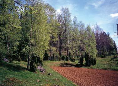 FLORAFÖRÄNDRINGAR Figur 8. Hagmarkslandskap med liten odlingsteg, ett småskaligt landskap som blir allt ovanligare. Kåperyd, Småland, maj 1995. na i fråga.