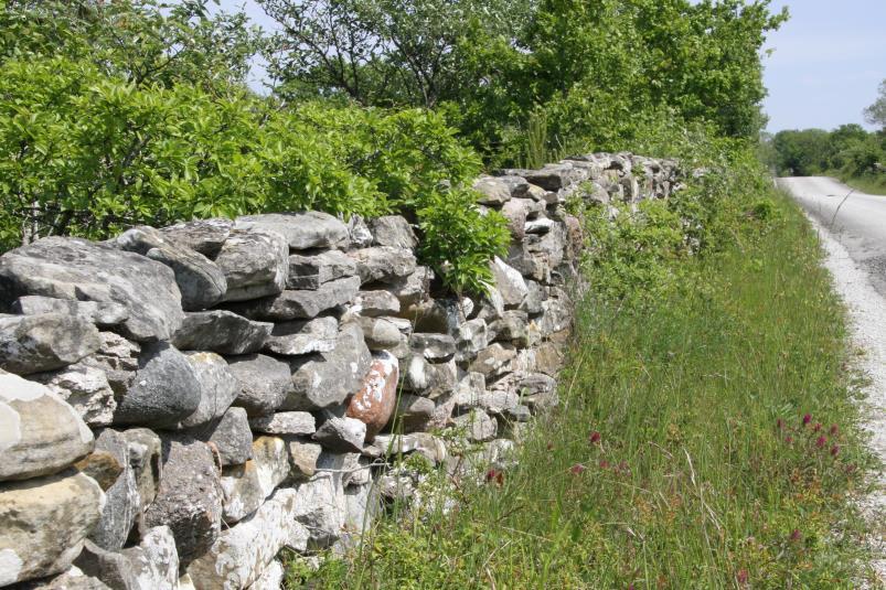 Gotlands