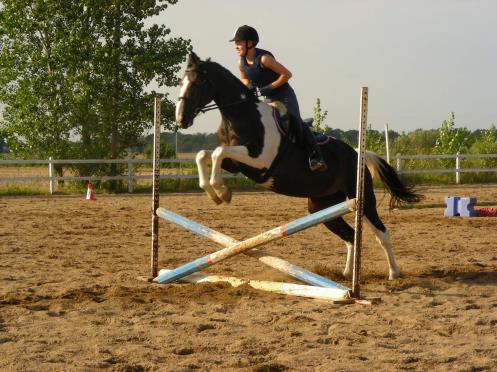 Sedan har vi en spännande kväll med Working Equitation i augusti. Tillsammans med hästen rider du olika roliga övningar som kräver både dressyr, teknik och speed. Instruktör är Lotta Ringvall.