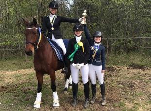 2017 2016 2015 Total antal starter 306 st 281 st 305 st Dressyr Antal starter 153 st 162 st 190 st Antal juniorer/young rider 96 st 29 st 62 st Antal seniorer 57 st 133 st 128 st Hoppning Antal
