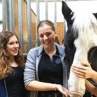 4 AKTIVITETER, PROJEKT OCH HÄNDELSER 2017 Meningsfull barn- och ungdomsverksamhet med ungdomssektionen, stallkompisarna och fritidsledaren Enskede Ridskola är en av åtta ridskolor i Stor-Stockholm