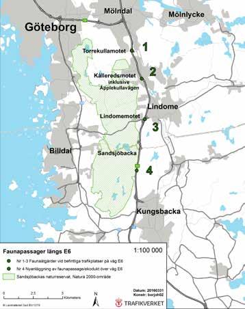 Väg E6 utgör en viktig internationell, nationell och regional länk i infrastruktursystemet och ingår i det transeuropeiska vägnätet (TEN) som sammanbinder Köpenhamn Oslo Stockholm Helsingfors.