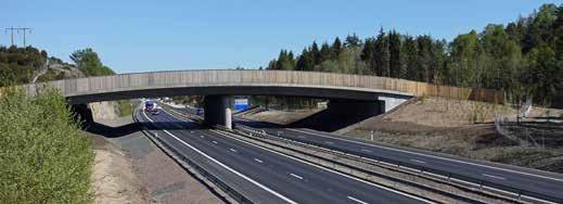 Detta skapar även färre ytor med naturmark inom viltstängslen i trafikplatserna. Djuren leds via stängslen över de befintliga broarna.