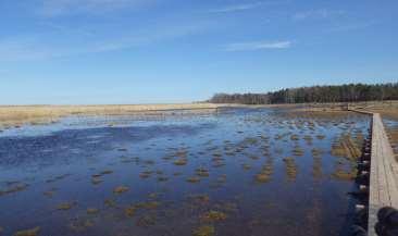 Vi kommer liksom tidigare valår sedan 1980-talet att skicka ut en valenkät till kommunfullmäktiges partier om vad de tycker i lokala natur och miljöfrågor.