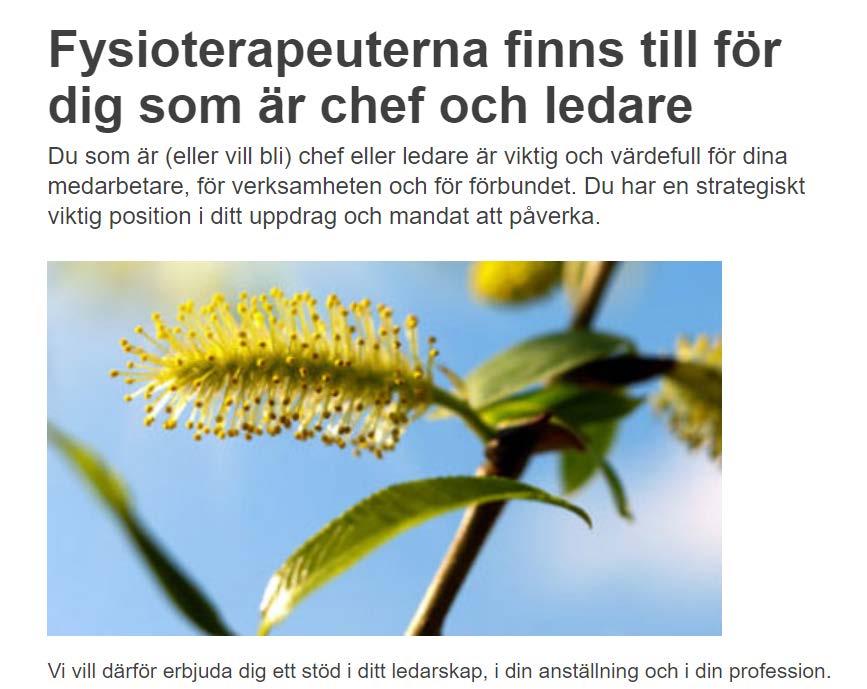 6. Chef och ledarskap Inventering gjord av vad andra förbund erbjuder sina chefer