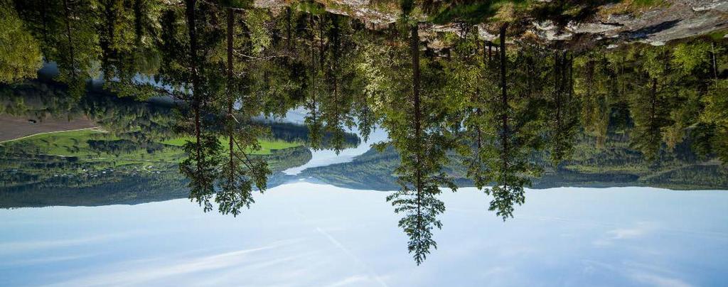 D e l å r s r a p p o r t Q 3 2 1 7 1 JANUARI 3 SEPTEMBER 217* (jämfört med samma period föregående år, kvarvarande verksamhet) Nettoomsättningen ökade med 9 procent till 12 422 (11 434) Justerad