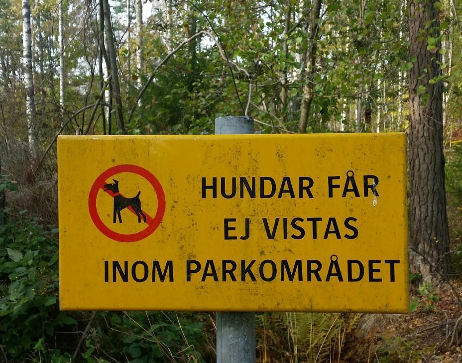 Jag har koll på min hund Hunden får följa med i naturen, men under tiden 1 mars - 20 augusti måste du ha strikt kontroll över din hund, det