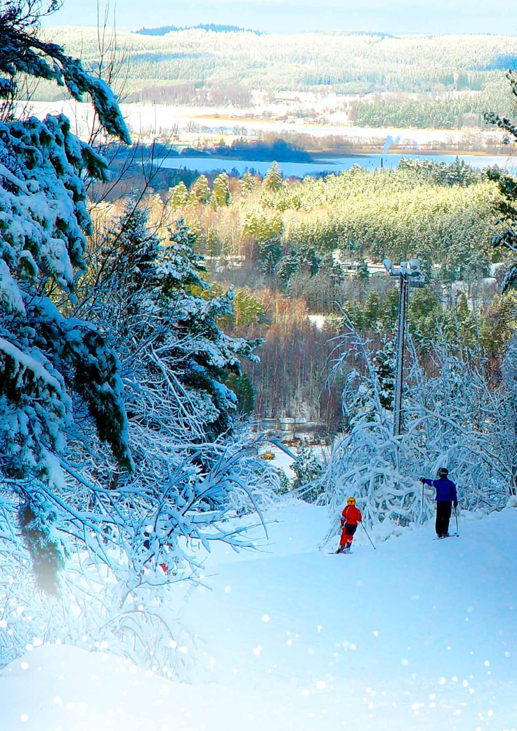 Aktiv vinter Det finns mycket att göra och uppleva i Kinda även på vintern. Tolvmannabacken i Kisa är en av de största skidanläggningarna i södra Sverige med fem liftar och sju nedfarter.