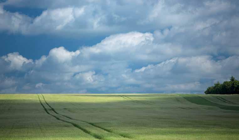 VÅRKORN Flexibilitet i all stråsäd Marknadens enda färdigblandade svampmedel med triazol och strobilurin Basen är Proline Enkel att hantera Läs mer på www.cropscience.bayer.