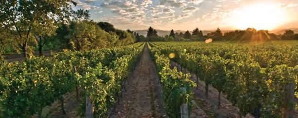 Usa Kalifornien Irony Wine Cellars Irony är ett vineri i Napa Valley som specialiserar sig på att göra små till medelstora serier av viner från olika kustnära odlingsområden i Kalifornien, från