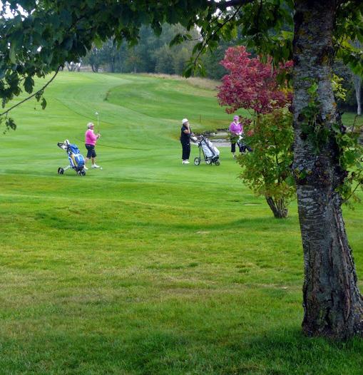 Tisdagsgolfen startade redan den 15 april. I år spelades det 20 rundor och vi hade tre damer som spelade så många som 19 av dessa!