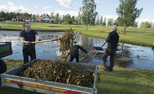 vid några tillfällen och gjort banarbeten som den ordinarie