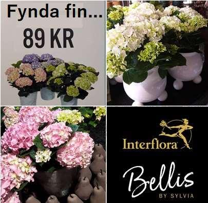 24 32 49 FRÅGA 9: BLOMMOR VUEN & (nog svårt för barn men det kan gå ) Vad gör Bellis reklam för?