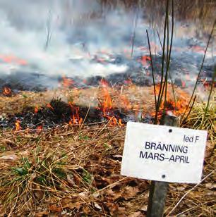 Föreningens viktigaste verksam heter är exkursioner, föredrag och floraväkteri. Vi ägnar oss åt blomväxter, men intresserar oss också för mossor, lavar, alger och svampar.