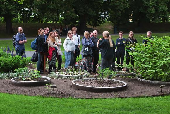 foto: Ulla Schildt och Kristina Bjureke. Demonstration garden for both red- and blacklisted plants at the botanical garden of the Natural History Museum in Oslo.