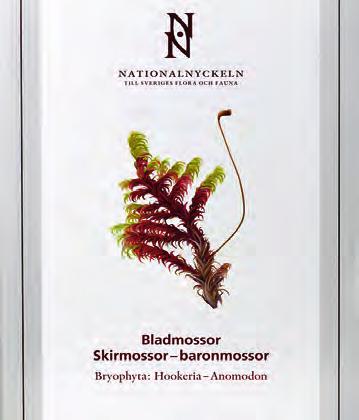 läsvärt Tredje boken om bladmossor Den avslutande delen i Nationalnyckelns genomgång av våra egentliga bladmossor har nyligen givits ut.