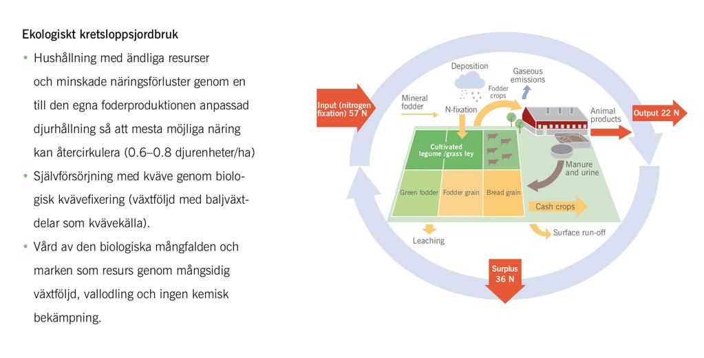 Regenerativt Källa: Morgondagens Jordbruk, Artur