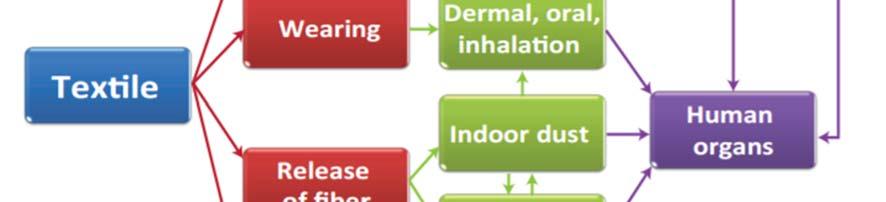 Konsumentanvändningen av textilier anses även vara en viktig källa för nonylfenoletoxilats nedbrytningsprodukt nonylfenol i vattenmiljön (Kemikalieinspektionen, 2015b, s.37). Figur 2.