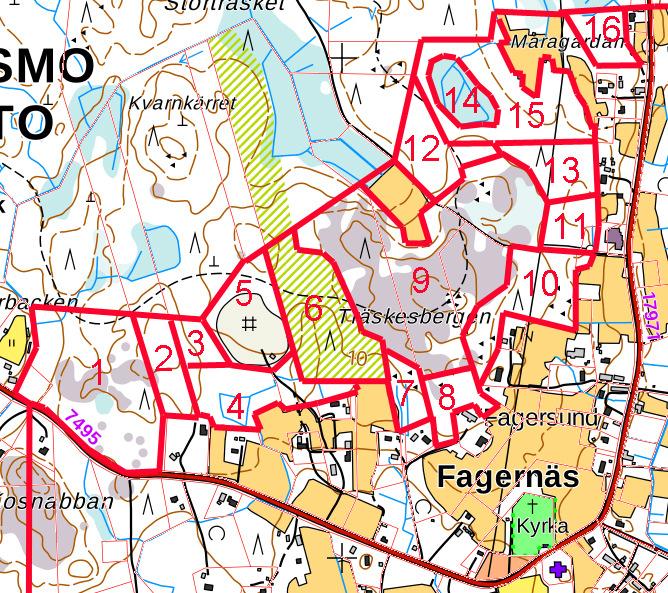 Delområde B. Nordväst om Fagernäsvägen Figur B.1. Rätt ojämn, ca 20-årig tallplantskog. I trädskiktet även ett inslag av gran (Picea abies).