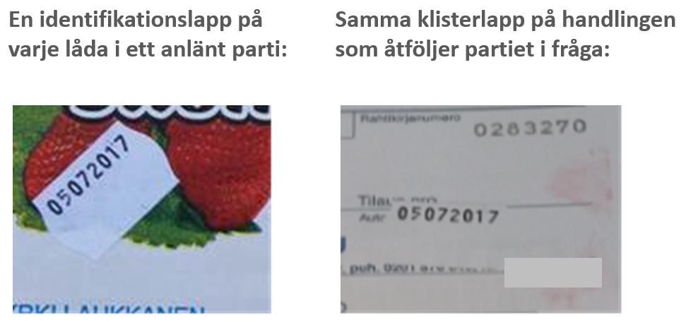 Hänvisningar till lagstiftningen 1) Kommissionens genomförandeförordning (EU) nr 543/2011 om tillämpningsföreskrifter för rådets förordning (EG) nr 1234/2007 vad gäller sektorn för frukt och