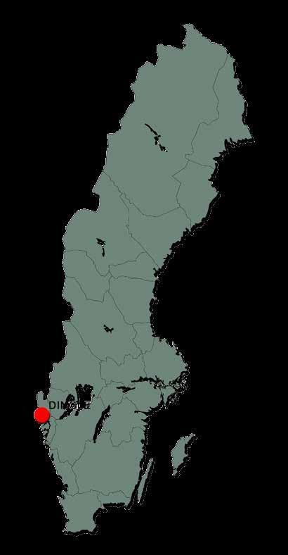 Man lär sig att ta ansvar för sina egna studier och får dessutom även uppleva lyckan i att ha kompisar som finns där för en i vått och