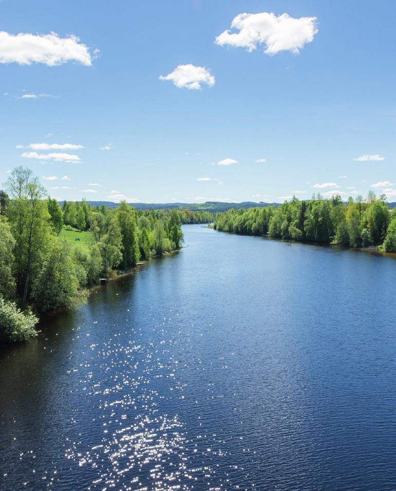 Vi säljer flest bostäder i Gagnef