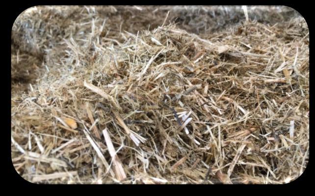 Sinkofoderstat Foderstat med helsäd eller sinkogräs (sent skördat gräsensilage med lågt innehåll av K) Mjölkkornas