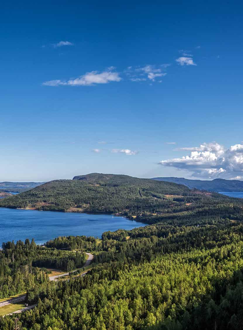 av den totala försäljningen. Bland de övriga länderna stod Ungern och Tyskland för den största försäljningsökningen, vilket också är synbart på deras andel av den totala försäljningen.