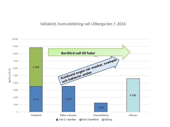 Från vall-skördarnas storlek är det möjligt att beräkna vallgrödornas bidrag till mullbildningen i marken.