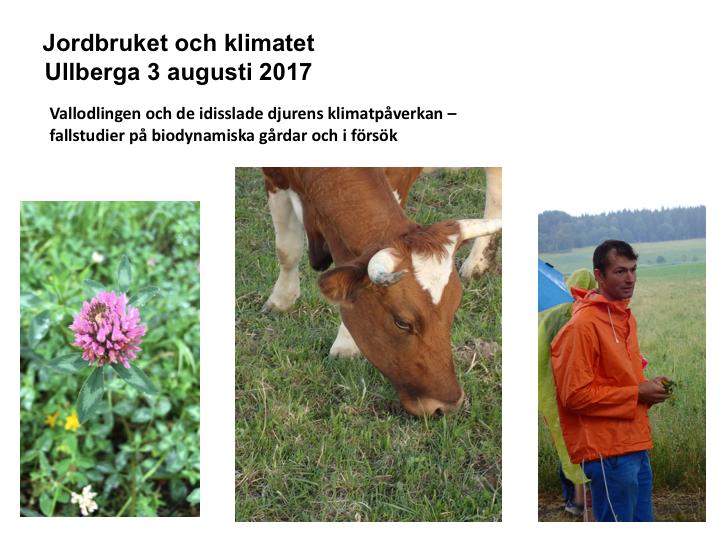 Denna presentation gjordes i samband med fältvandringen på Ullberga gård utanför Nyköping, 3 augusti 2017.