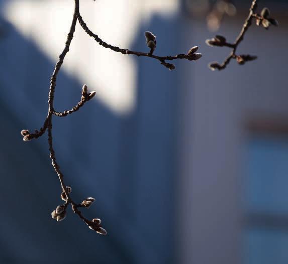 Idag samlas människor av olika slag för att fira sinnesrogudstjänst tillsammans. Det är en gudstjänst som i sig har både enkelhet, stillhet och eftertanke, musik och ord, upprättelse och befrielse.