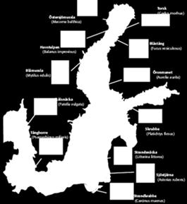 Ändrade isförhållanden, glaciärer och områden med permafrost minskar eller försvinner.