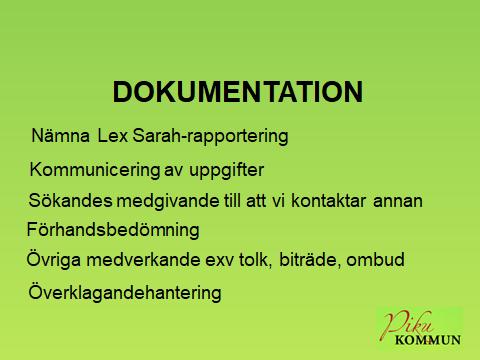I Socialstyrelsens föreskrifter nämns några konkreta saker som ska vara med, bland annat: om det i ärendet gjorts en Lex Sarah-rapport eller en polisanmälan; hur vi kommunicerat information som