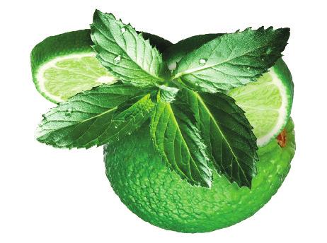 VIT KAKAOLIKÖR, MINTLIKÖR, GRÄDDE, MJÖLK BLÜMLIS GIN,