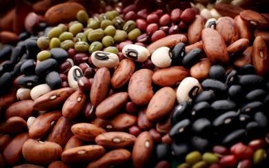 Protein: