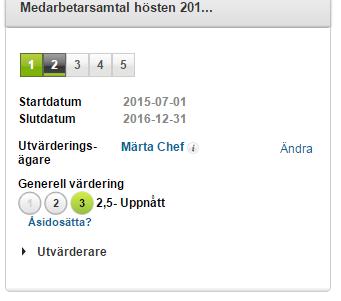 Chefen fyller nu i samtalsformuläret på samma sätt som medarbetaren.