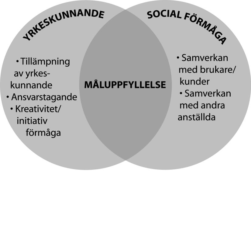 Denna faktorsmall ska användas vid bedömning av varje medarbetares individuella prestation, detta sker vanligtvis i samband med den årliga löneöversynen.