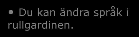 eller E-mail och ditt lösenord, och tryck Logga in.