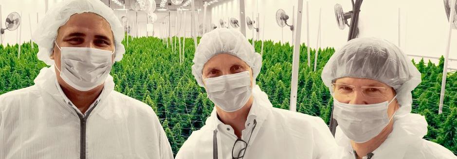 rådgivning om plantor och färdiga produkter.