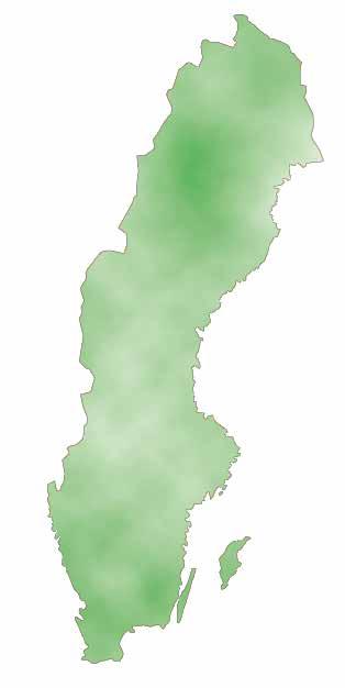 3. Kunskapsuppbyggnad Arbetslivsmuseerna beskriver 1800-talet och 1900-talets historia och industrisamhället men där finns även berättelser om tidigare århundraden.