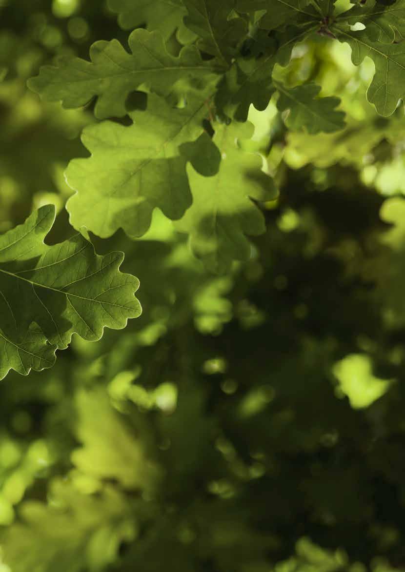 2 SIDHUVUD Innehåll Så ser vi på hållbarhet ur ett ägarperspektiv... 4 Hur vi investerar... 6 Fondernas klimatavtryck... 9 Hållbarhetsrankning av fonder...10 Nya krav på hållbarhetsinformation.