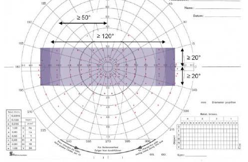 Grundregler perifert synfält binokulärt Esterman Grupp I Synfältet ska vid seende med båda ögonen samtidigt ha en horisontell utbredning om minst 120 grader, varav minst 50 grader åt vardera hållet,